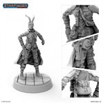 Starfinder Unpainted Miniatures: Raia The Technomancer