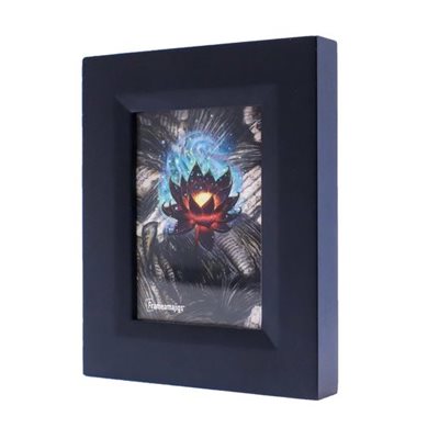 Frameamajigs: Black (No Amazon Sales)