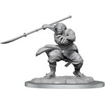 D&D Nolzur's Marvelous Unpainted Miniatures: Wave 17: Oni Female