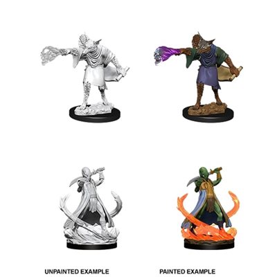 D&D Nolzur's Marvelous Unpainted Miniatures: Wave 11: Arcanaloth & Ultroloth