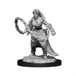 D&D Nolzur's Marvelous Unpainted Miniatures: Wave 14: Human Monk Female