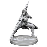 D&D Nolzur's Marvelous Unpainted Miniatures: Wave 14: Human Monk Female