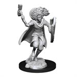 D&D Nolzur's Marvelous Unpainted Miniatures: Wave 14: Changeling Cleric Male