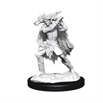 D&D Nolzur's Marvelous Unpainted Miniatures: Wave 15: Winter Eladrin & Spring Eladrin