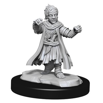 Pathfinder Deep Cuts Unpainted Miniatures: Wave 15: Halfing Monk Male