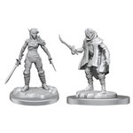 D&D Nolzur's Marvelous Unpainted Miniatures: Wave 19: Elf Rogue & Half-Elf Rogue Protege